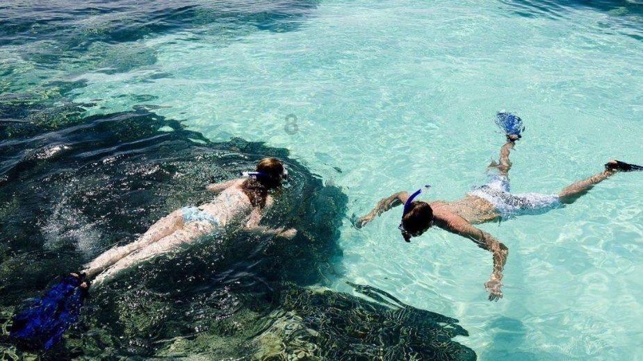 吉林男子遭黑熊袭击，趴地装死被撕咬！遇到熊装死到底有没有用？