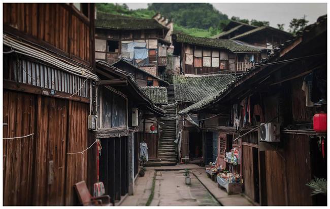 济南市市中区税务局:15名特约监督员履新职 画好税费共治“同心圆”